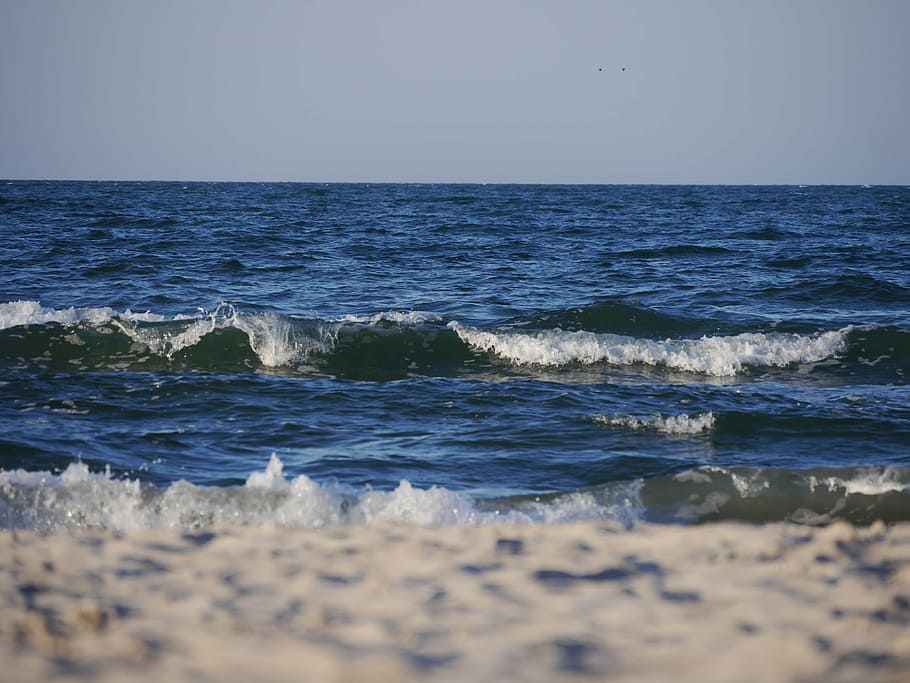wave, water, beach, sea, wet, nature, bank, sand, horizon over water HD wallpaper