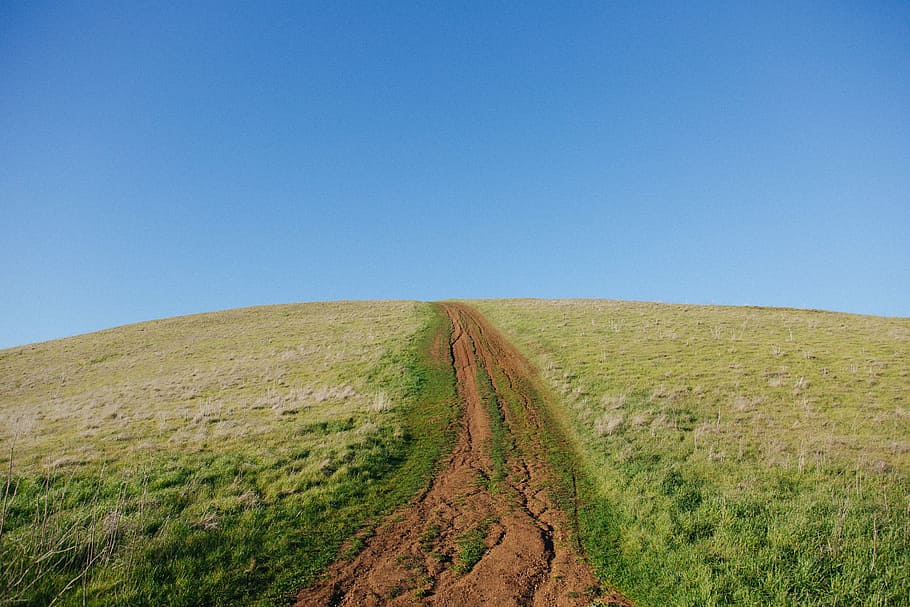 green and brown grass field, pathway in the middle of green grass field HD wallpaper