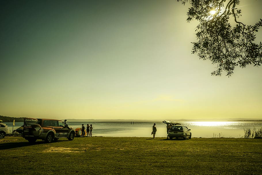 lake, fishing, sundown, sky, plant, water, land, tree, mode of transportation HD wallpaper
