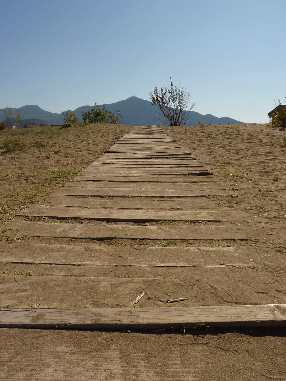 desert, away, trail, dry, web, run, nature, wood - Material HD wallpaper