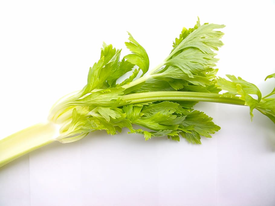 green vegetable, vegetables, material, celery, food, freshness HD wallpaper