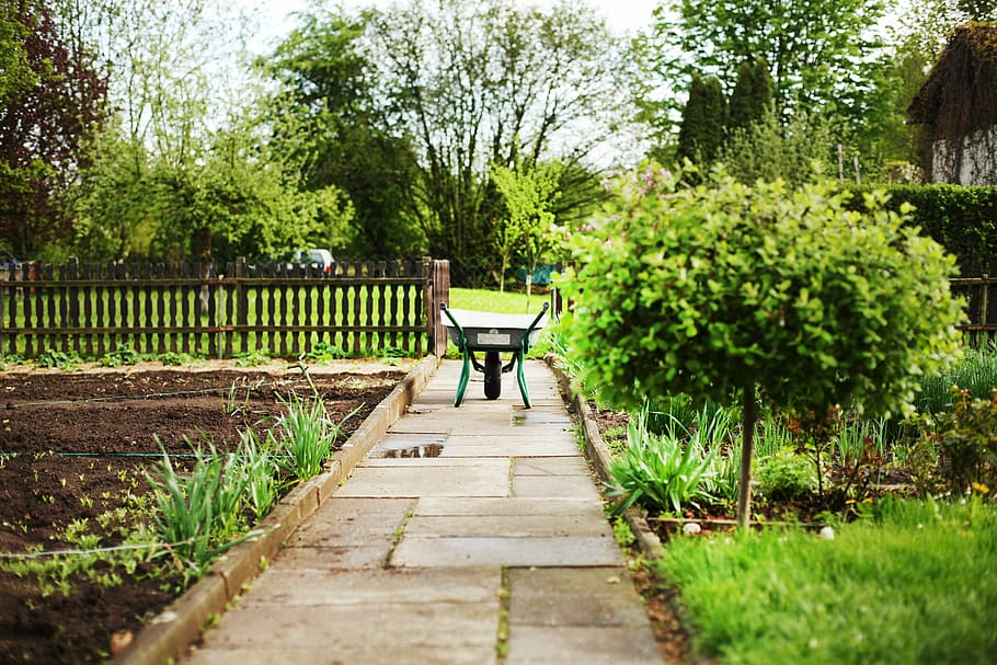 black and green wheelbarrow on gray walkway, wheelbarrows, garden HD wallpaper