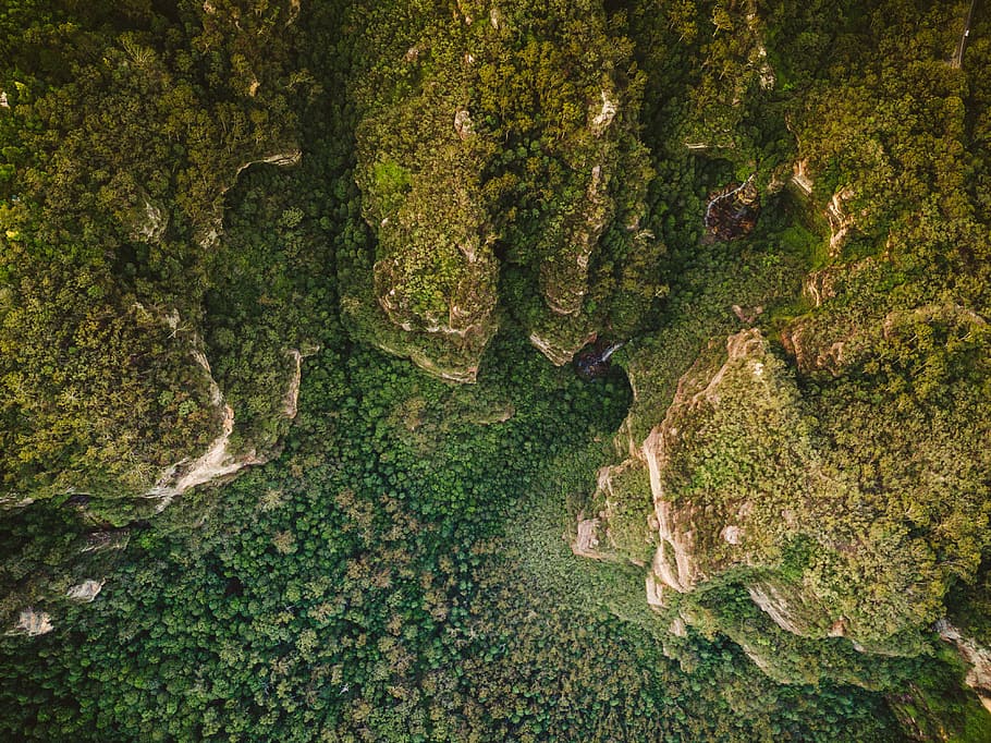aerial photography of green mountains, tree, drone, nature HD wallpaper