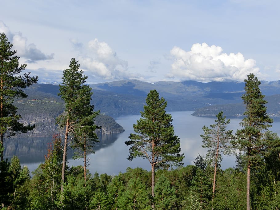 fjord, view, trees, clouds, sky, top, nature, landscape, plant HD wallpaper