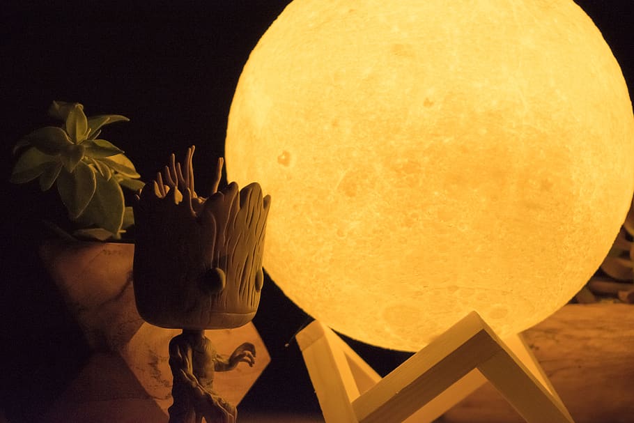 moon, nature, groot, trees, night, flower, plant, yellow, flowering plant HD wallpaper