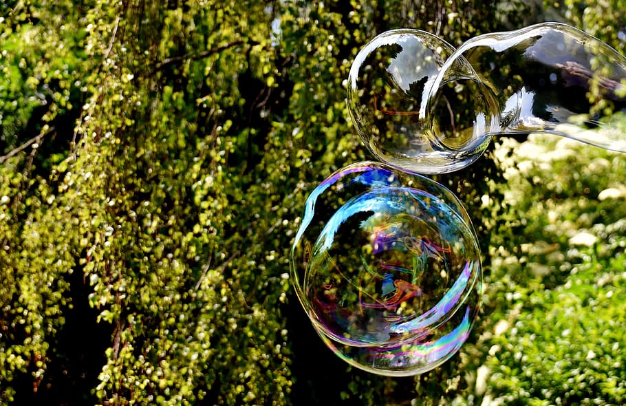 Soap Bubble, Huge, large, make soap bubbles, wabbelig, iridescent HD wallpaper