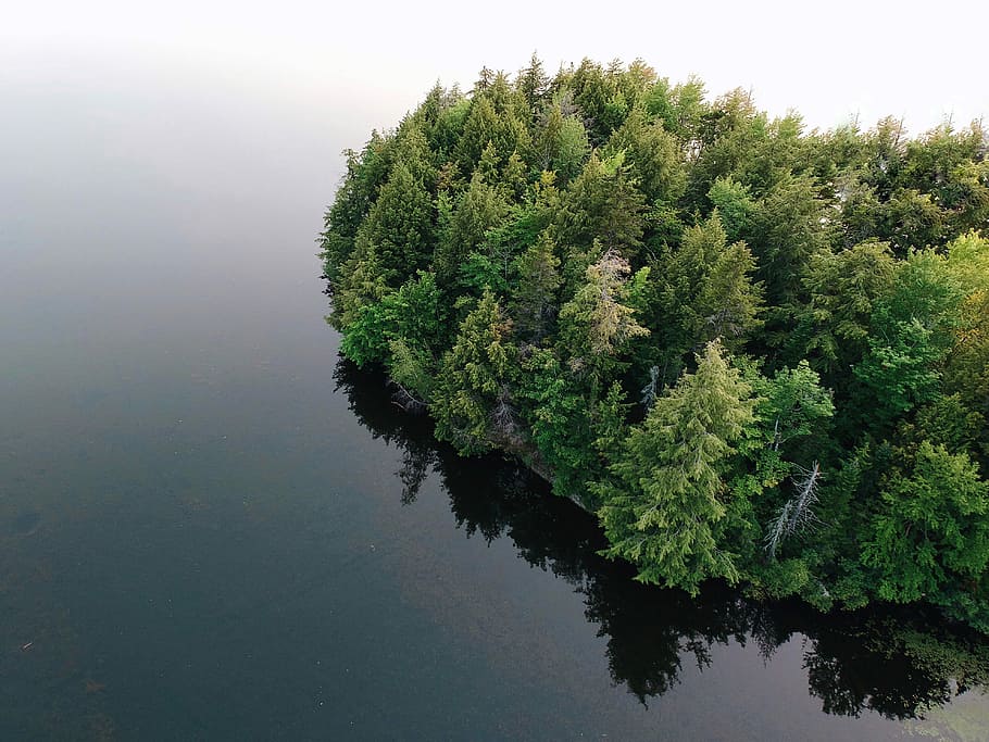 aerial photography of island surrounded by body of water, bird's eye-view photography of island surrounded with trees HD wallpaper