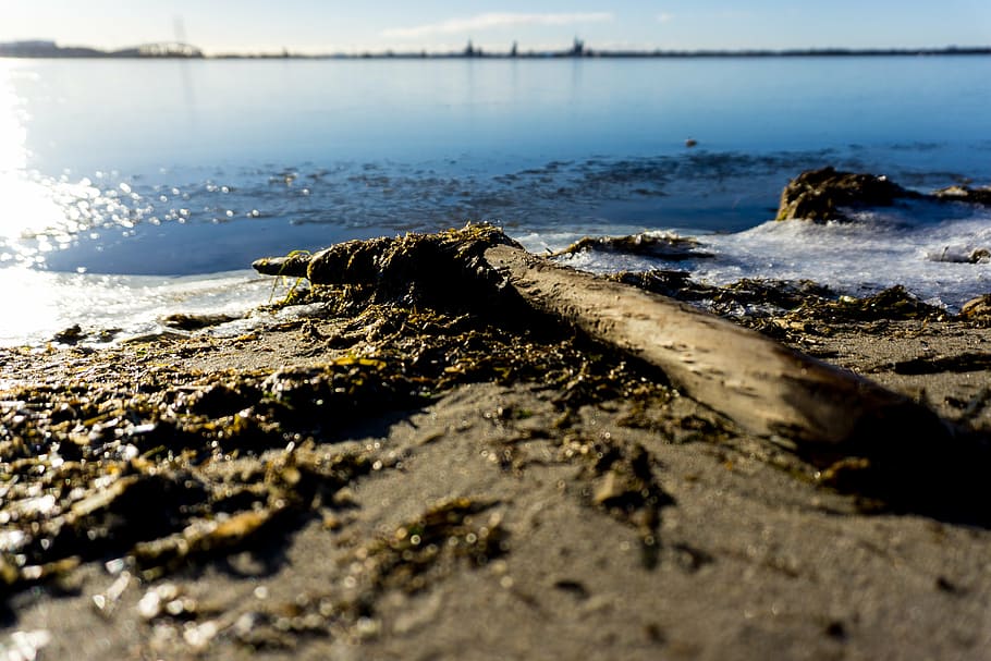 beach, flotsam, nice weather, sun, sea, holiday, water, land HD wallpaper