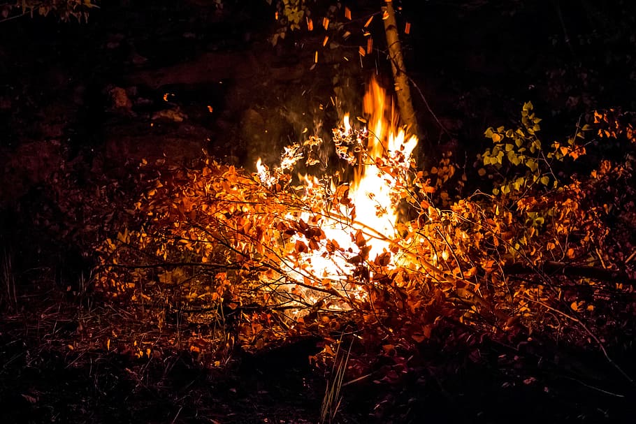 koster, night, camping, halt, fire, flame, burns, fever, campfire HD wallpaper