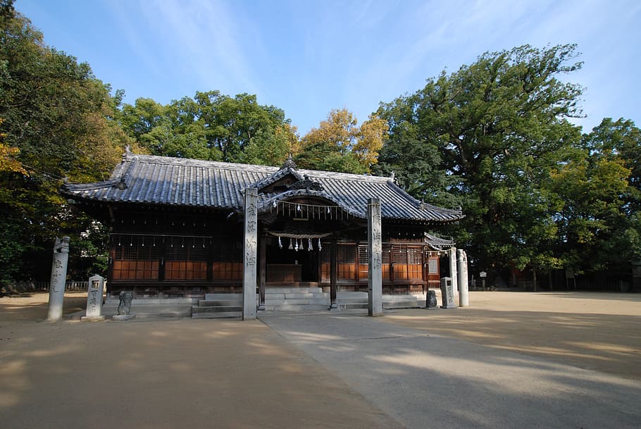 building, religion, shinto, shrine, roof, ichinomiya shrine, HD wallpaper