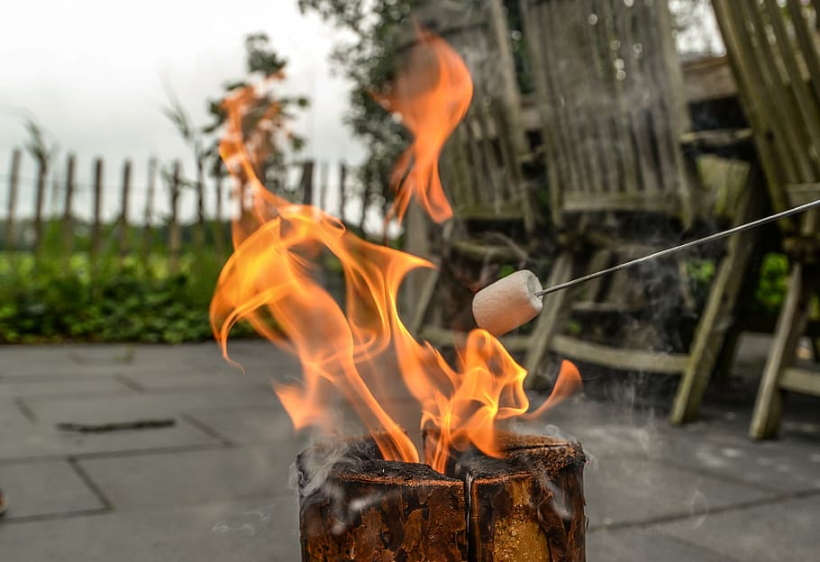 marshmallow, fire, camp, campfire, food, fun, outdoor, flame HD wallpaper