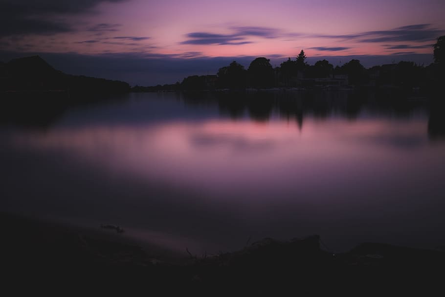 body of water across trees, silhouette photo of trees, nature HD wallpaper