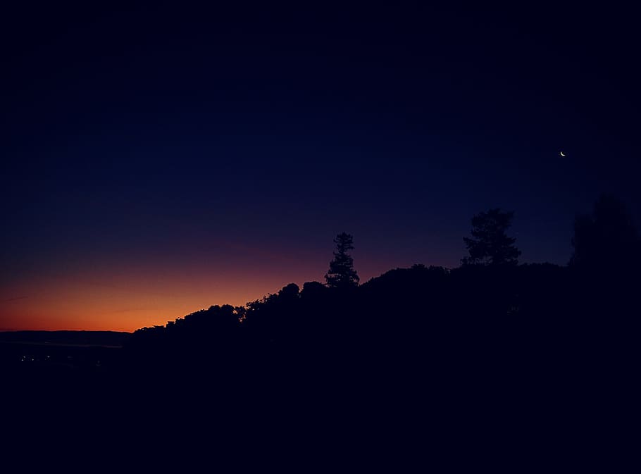 silhouette photography of trees, silhouette of mountain during night time HD wallpaper