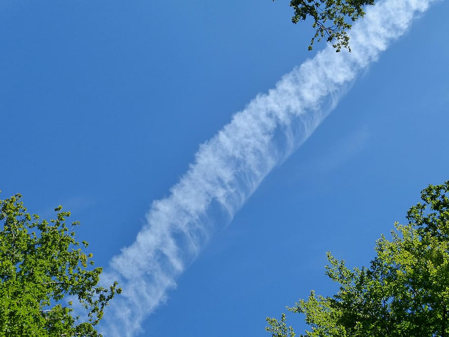 Sky, Clouds, Contrail, Aircraft, blue, tree, nature, day, outdoors HD wallpaper