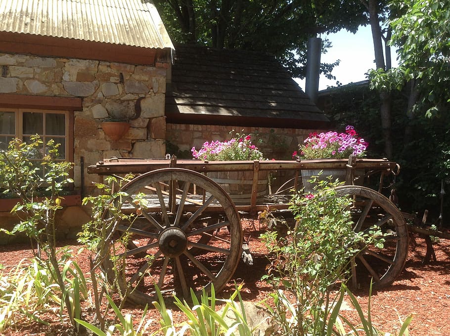 Cart, Flowers, Wheels, plant, house, front or back yard, outdoors HD wallpaper