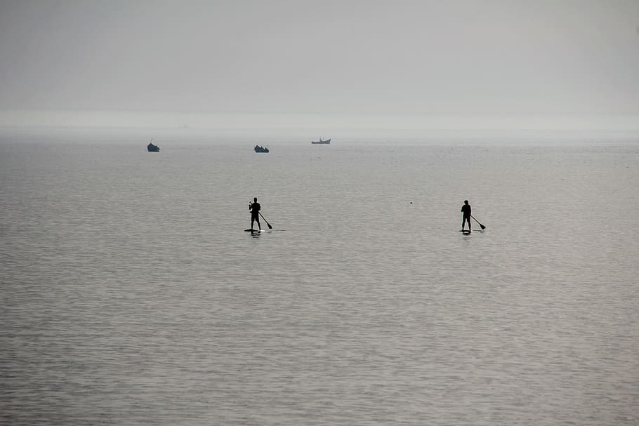 sea, water, sup, stand up paddle, by the sea, waterfront, horizon