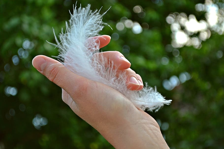 person holding white feather, plume, hand, girl, woman, nail polish