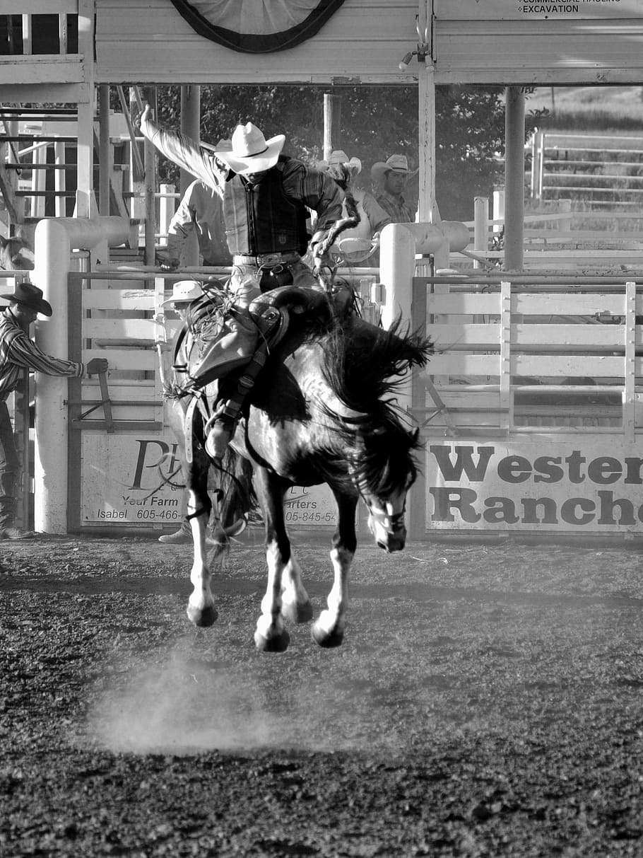 grayscale photo of man riding horse, Rodeo, Cowboy, Western, Animal