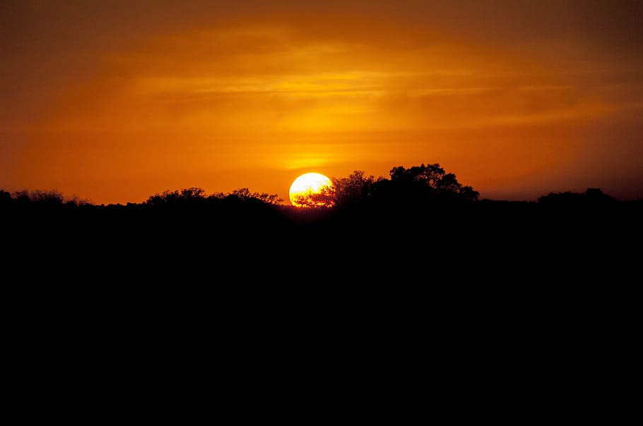 sunset, dawn, sky, silhouette, tranquility, orange color, beauty in nature HD wallpaper