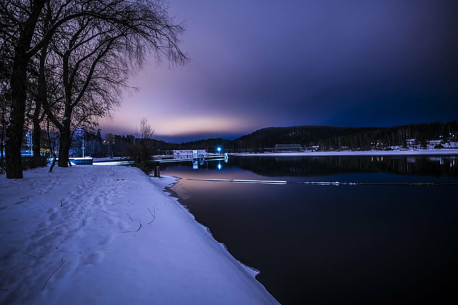 silence, landscape, reflections, water, tree, night, sky, nature HD wallpaper