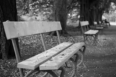 bench, park, bokeh, empty, autumn, abandoned, white, black HD wallpaper