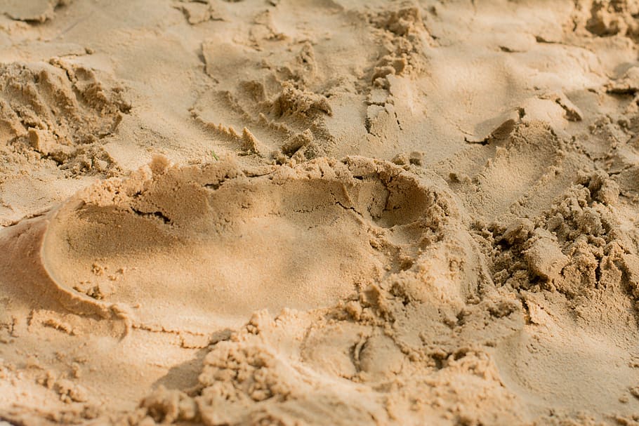 Online crop | HD wallpaper: sand, footprint, traces, imprint, the rate ...