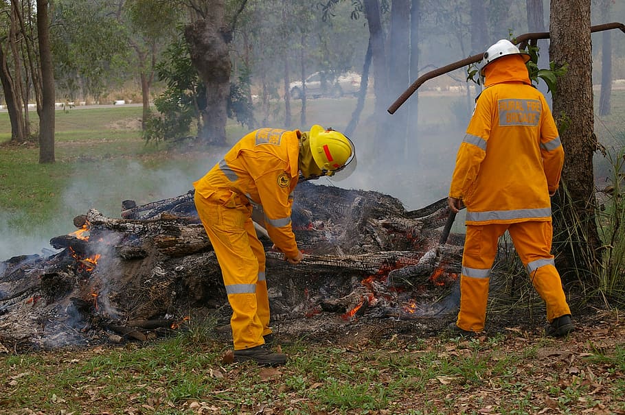 men standing near tree, occupation, firefighters, people, fireman