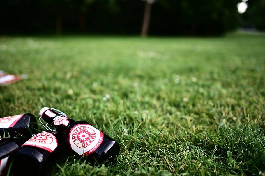 Beer, Stuttgart, Wool, Nature, summer, grass, park, alcohol HD wallpaper