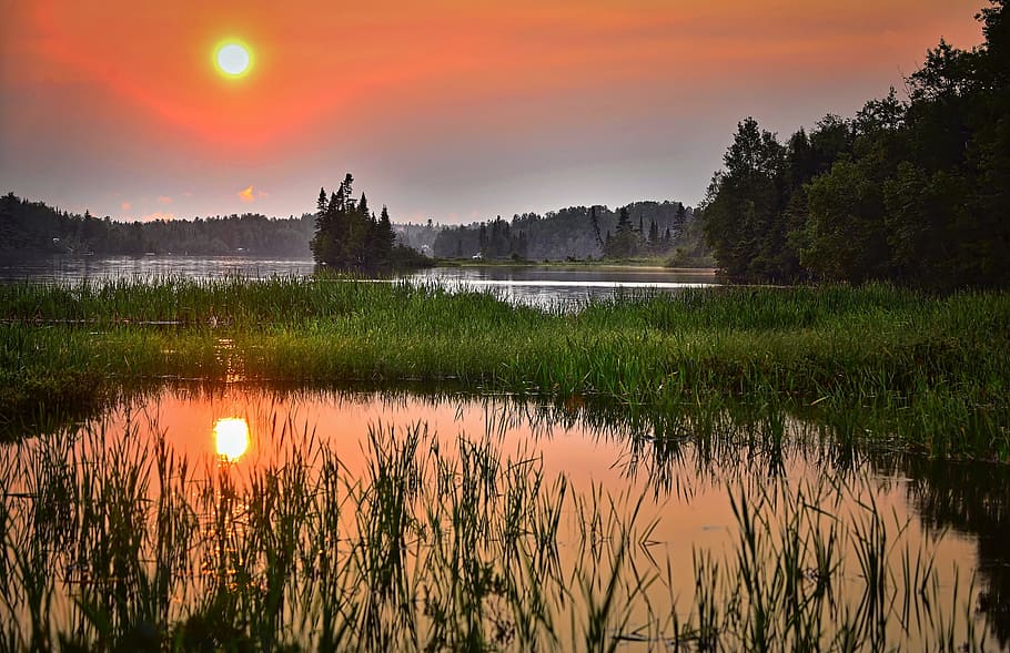 Green Grass Across the Lake, dawn, dusk, forest, landscape, reflection HD wallpaper