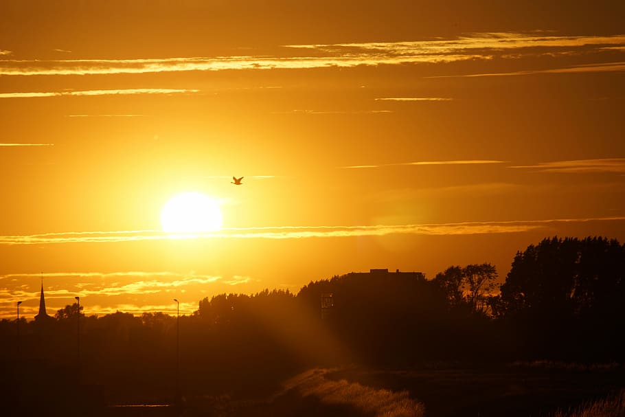 Sunset, Evening, Setting Sun, colorful sunset, romance, landscape HD wallpaper