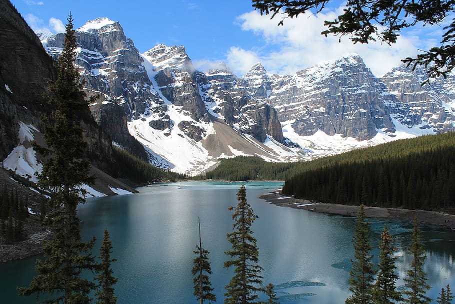 lake, water, river, trees, forest, plants, leaves, nature, landscape HD wallpaper