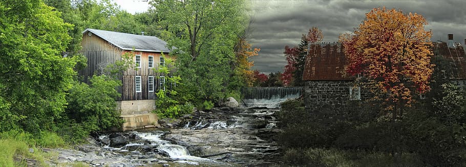 brown wooden house near river surrounded by green trees during faytime HD wallpaper
