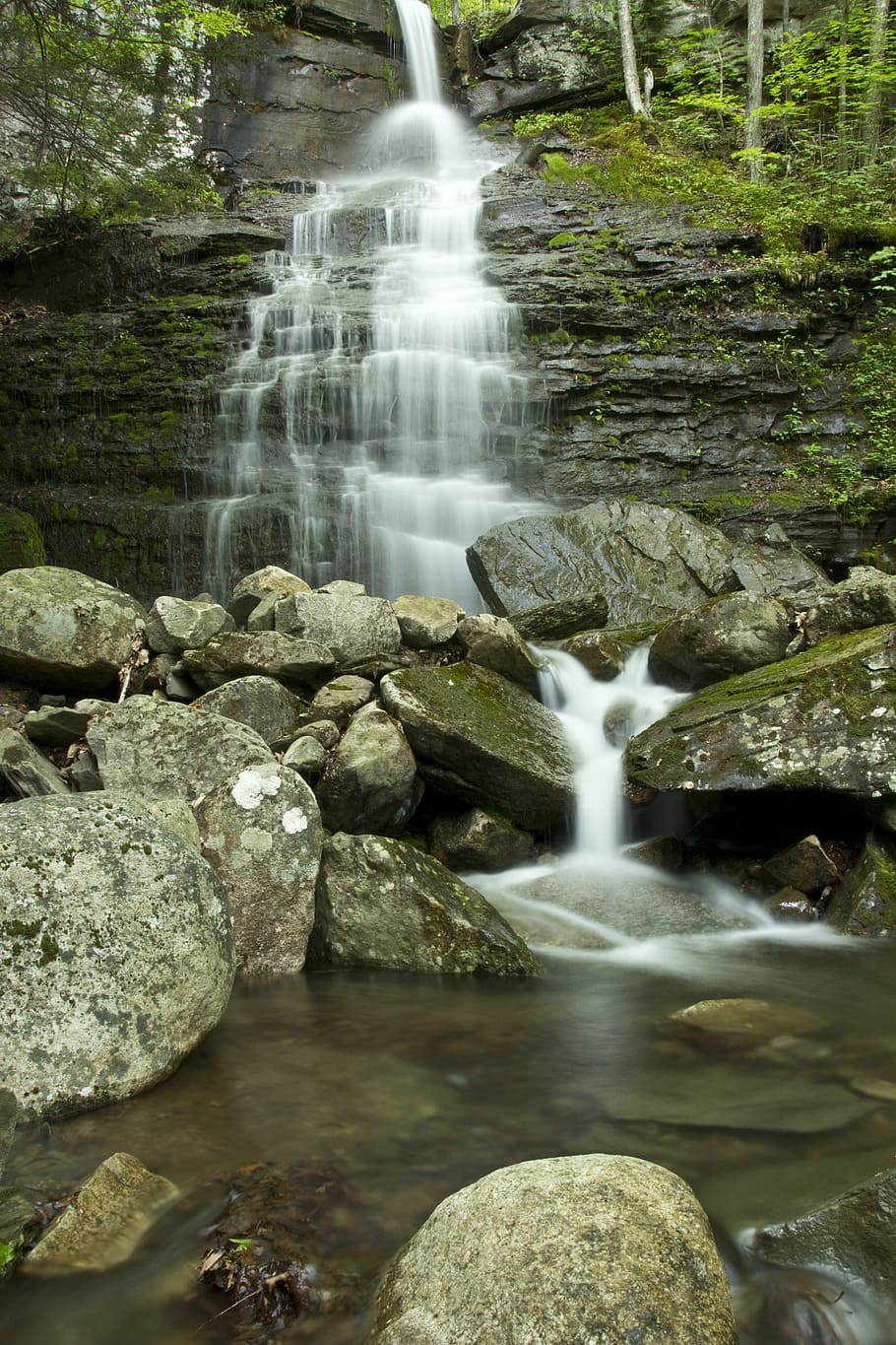 waterfalls and green leafed plants, cascade, stream, rock, wet HD wallpaper