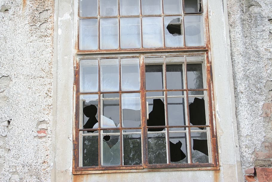 home front, vienna, crash, window, architecture, building exterior HD wallpaper