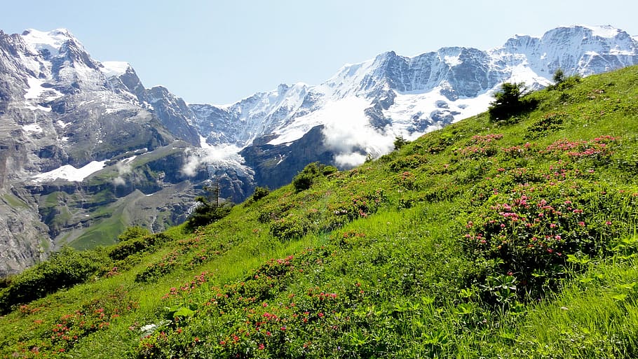 nature, mountain, panoramic, landscape, summer, mountain peak HD wallpaper