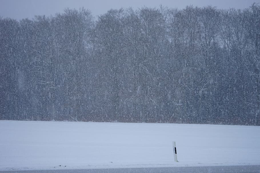 blizzard, winter storm, snowflakes, cold, icy, snowfall, frost HD wallpaper