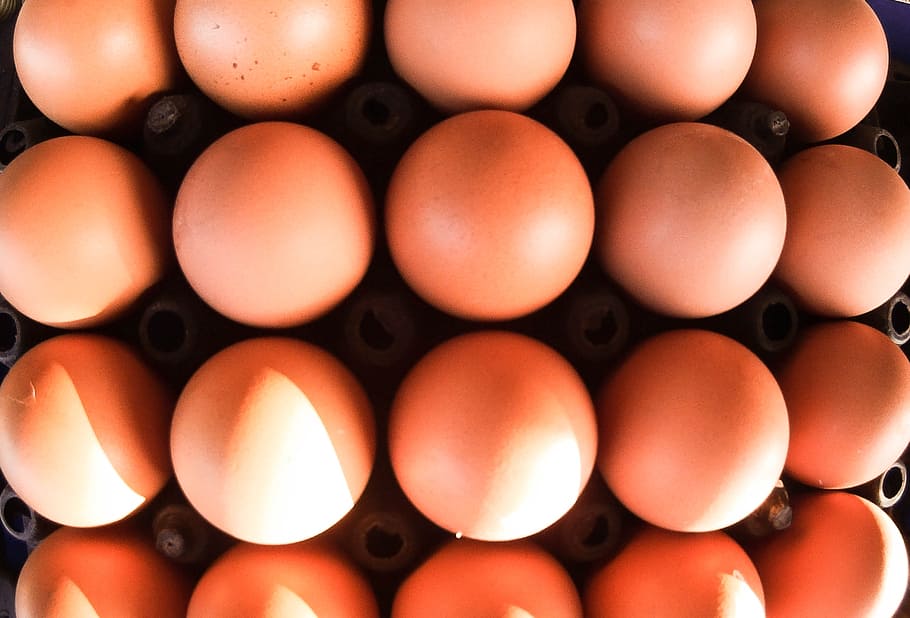 egg, good egg, egg photo, food and drink, large group of objects HD wallpaper