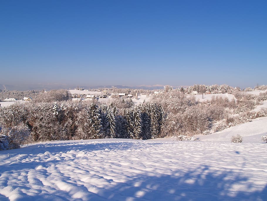 Snowy, Winter, Wintry, Landscape, day, open spaces, cold, beauty HD wallpaper