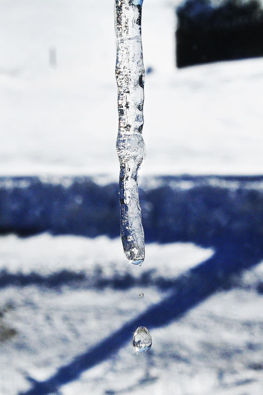 Winter, Icicle, Drop, Ice, Snow, cold temperature, frozen, close-up HD wallpaper