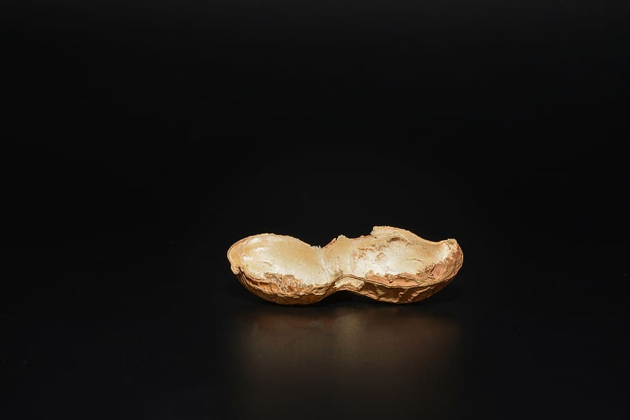 peanut, cut in half, empty, halved peanut shell, empty peanut, HD wallpaper