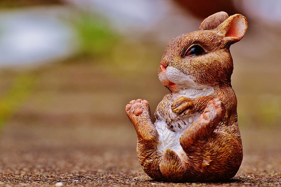 selective focus photograph of brown rabbit plush toy, hare HD wallpaper