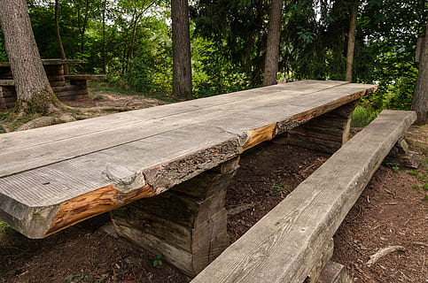 table, wood, rustic, forest, bavaria, trees, log, germany, wooden table HD wallpaper