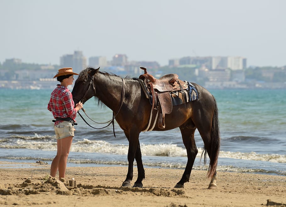 woman standing in front of brown horse, beach, stroll, mammal HD wallpaper