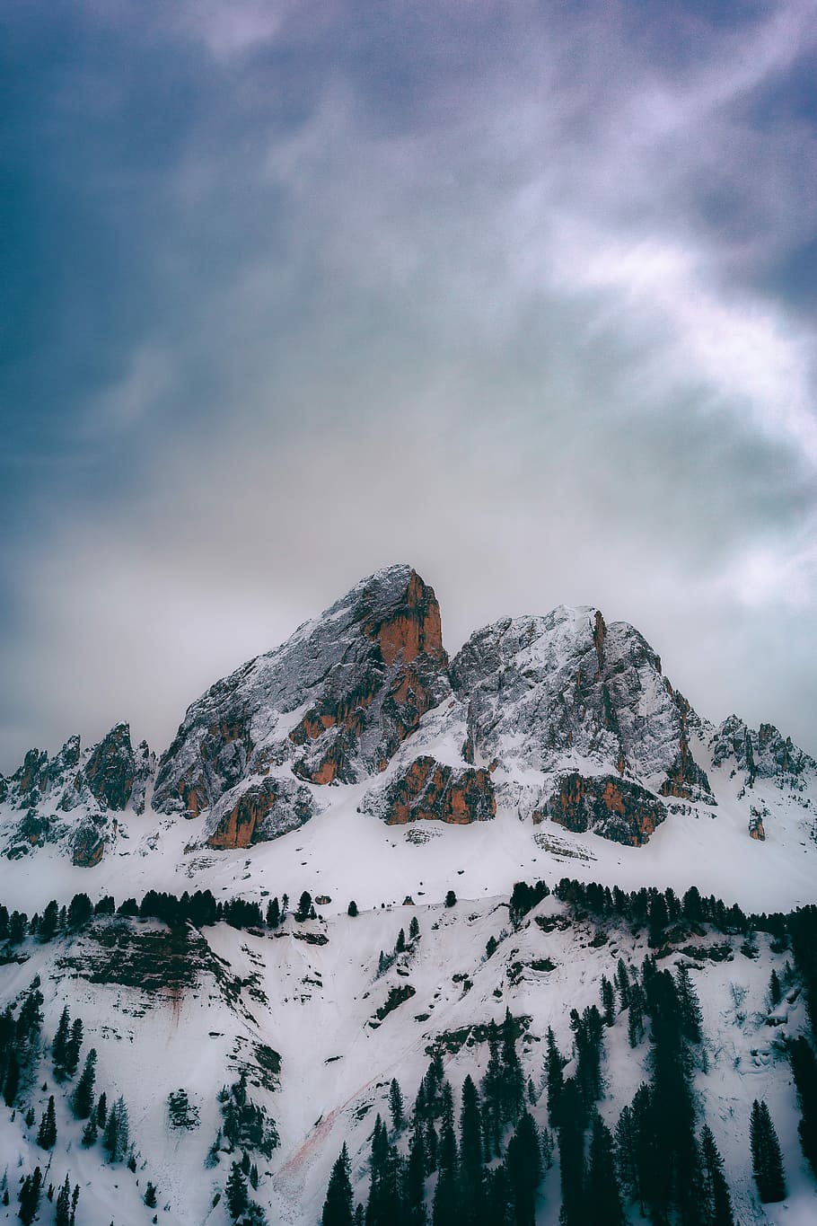 pine tree forest in mountain under white sky nature photography, mountain cover by snow HD wallpaper