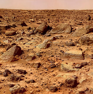 gray rocks field, mars, planet, surface, space, space travel HD wallpaper