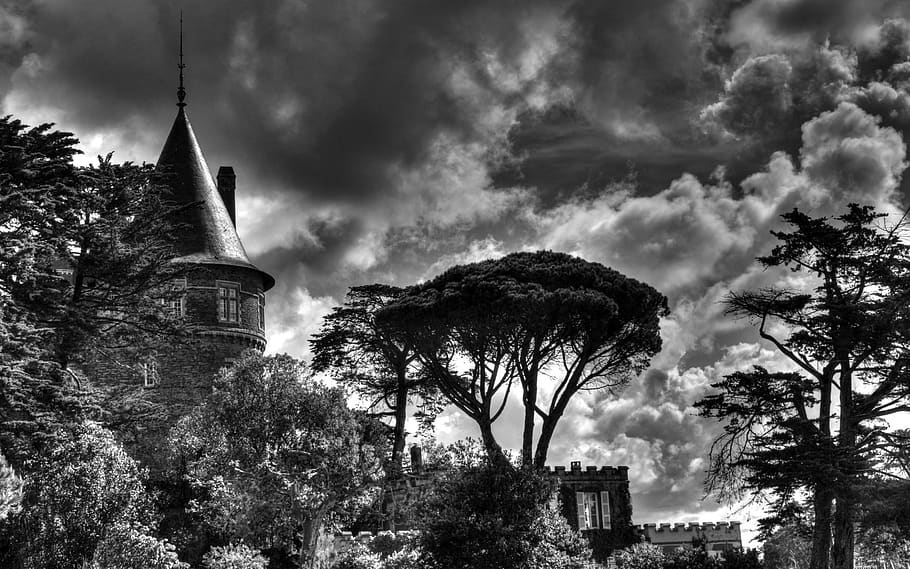 castle, sky, tree, dramatic, cloud, dark, black and white, architecture HD wallpaper