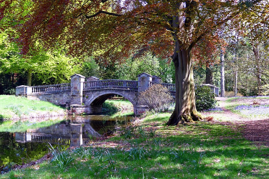 bridge near the tree and body of water, park, nature, landscape