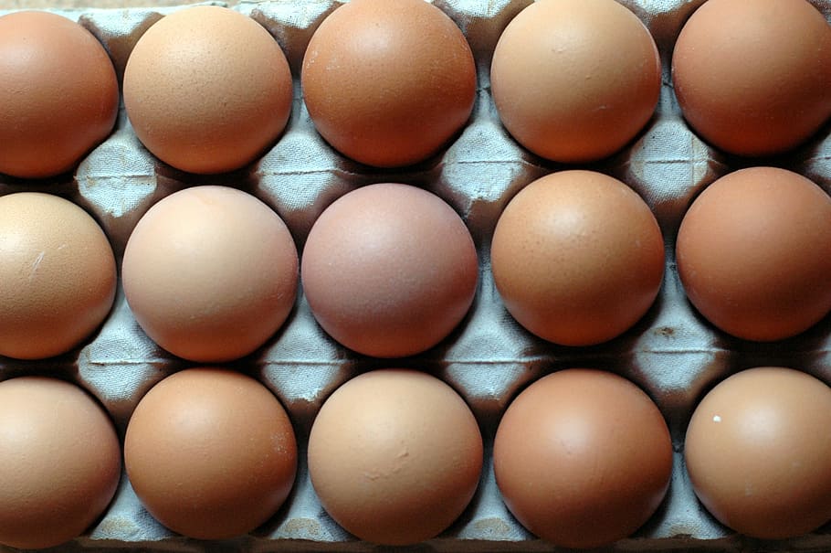 brown eggs, rows, patterns, nutrition, in a row, large group of objects HD wallpaper