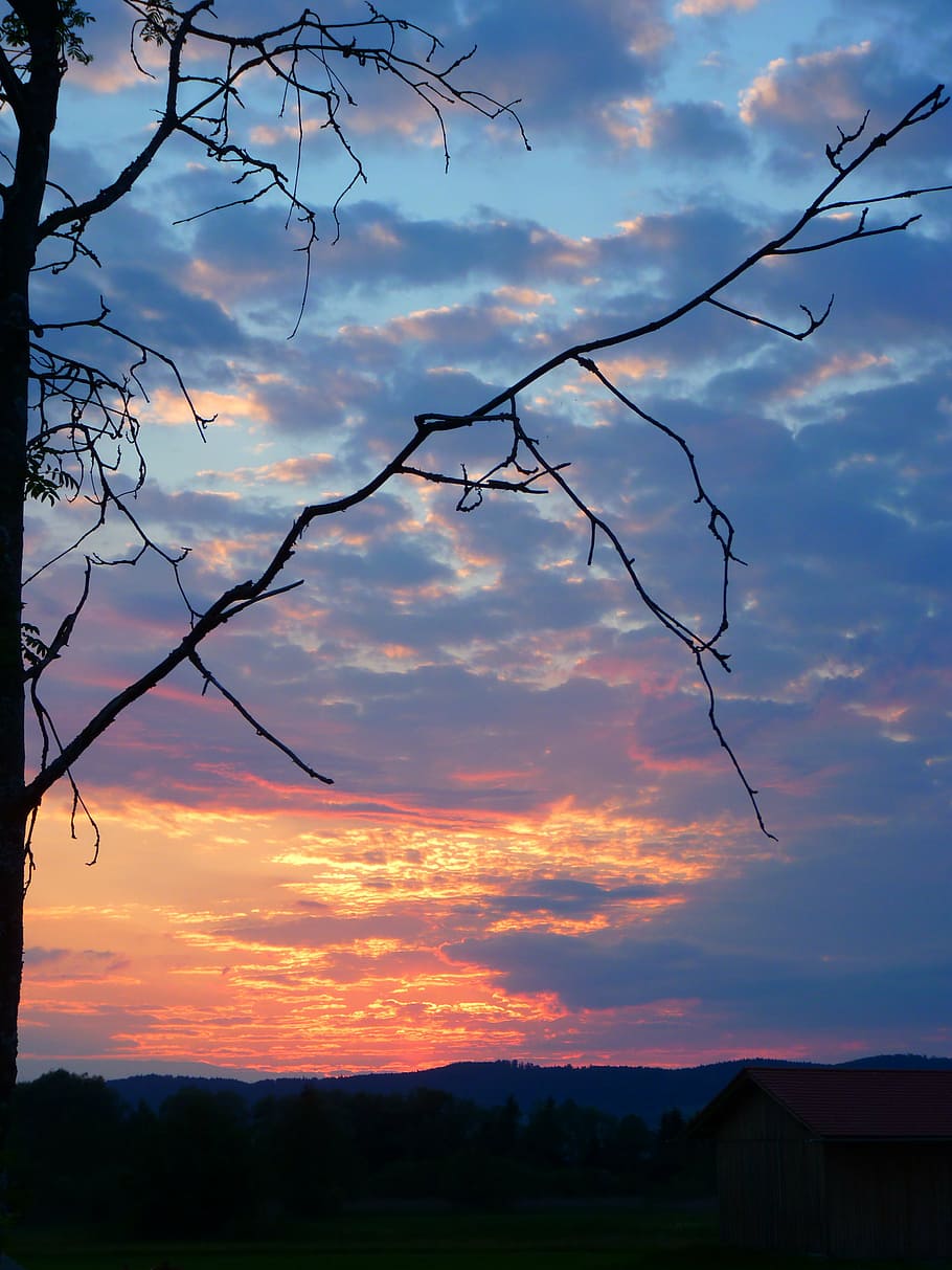 abendstimmung, sunset, sky, romance, nature, tree, outdoors HD wallpaper