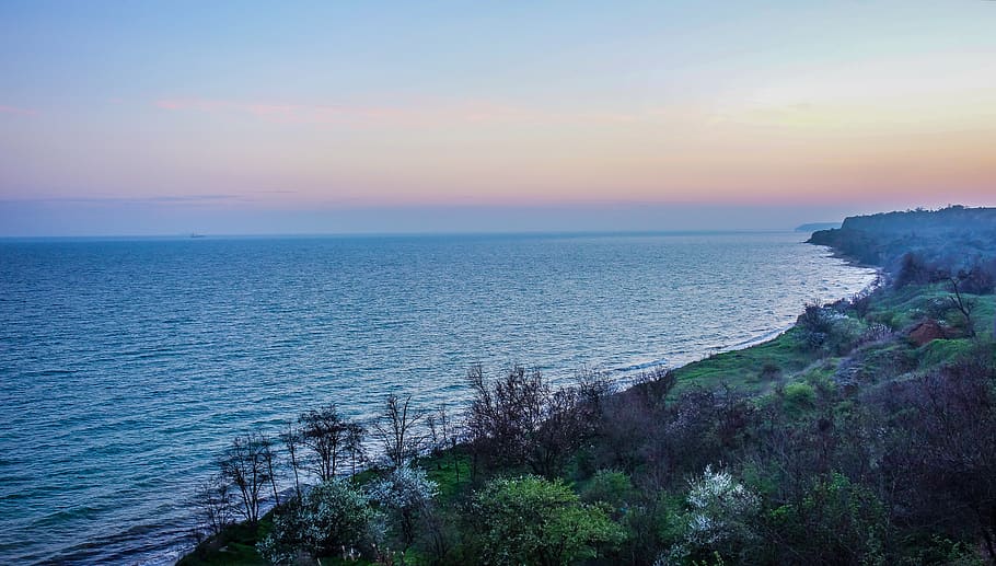 sea, forest, sunset, scenics - nature, sky, water, beauty in nature HD wallpaper